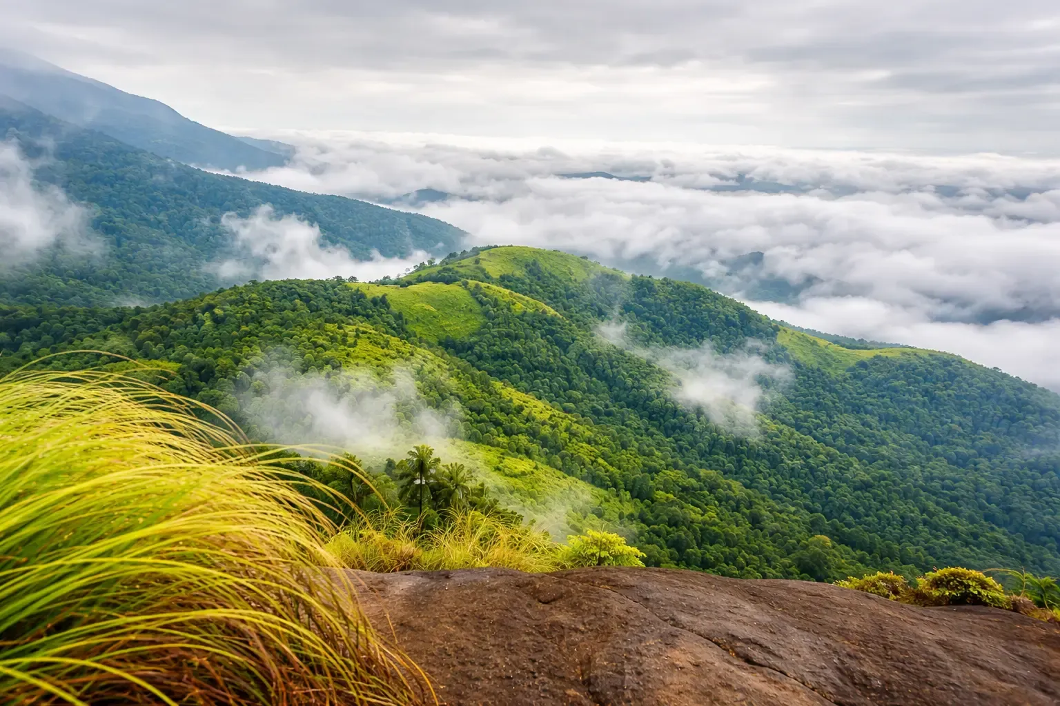 Kurinjal Peak