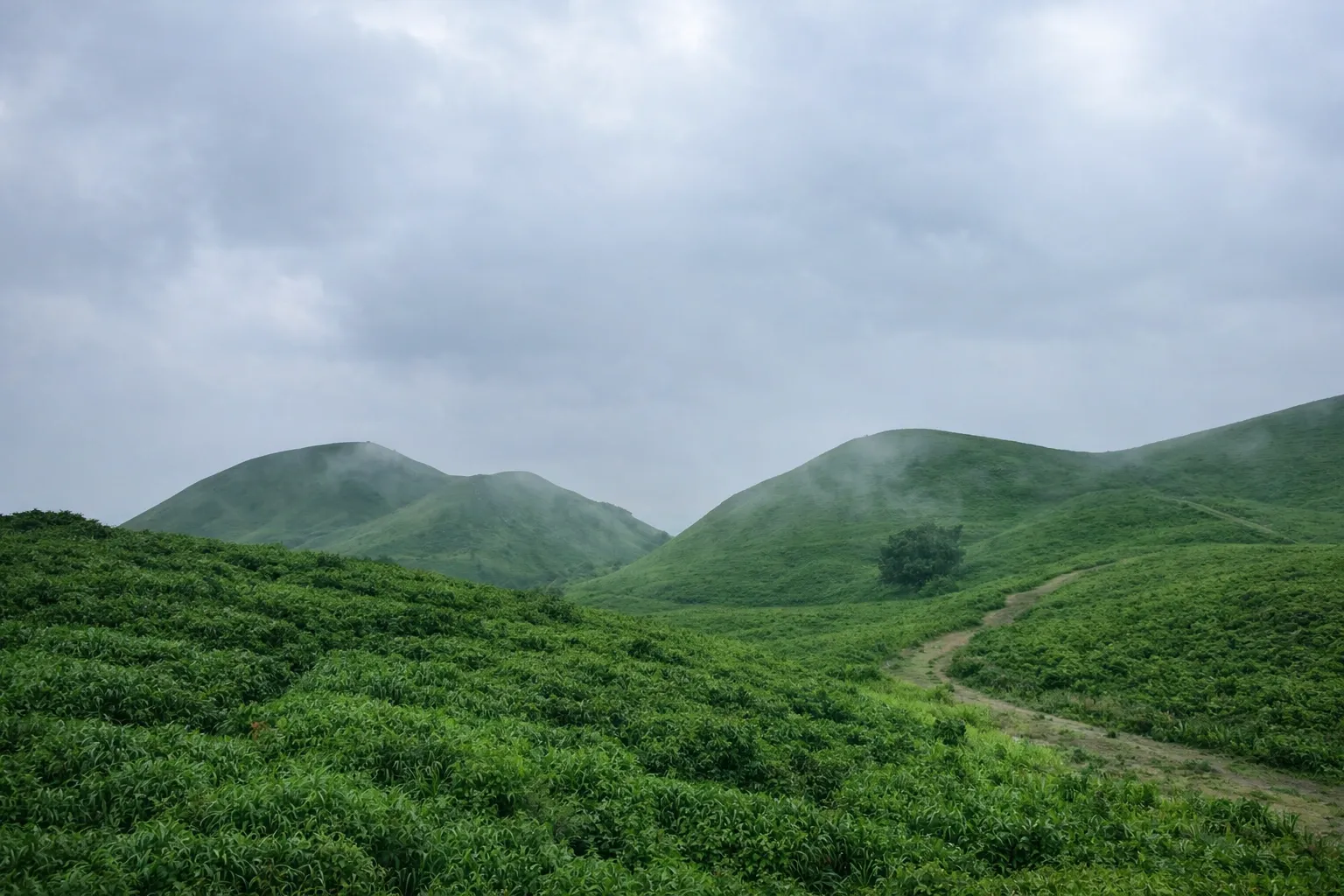 Pushpagiri